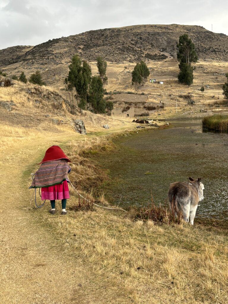 Une Péruvienne de dos ramène sa mule dans la plaine de Wilkacocha, sous un ciel orageux.