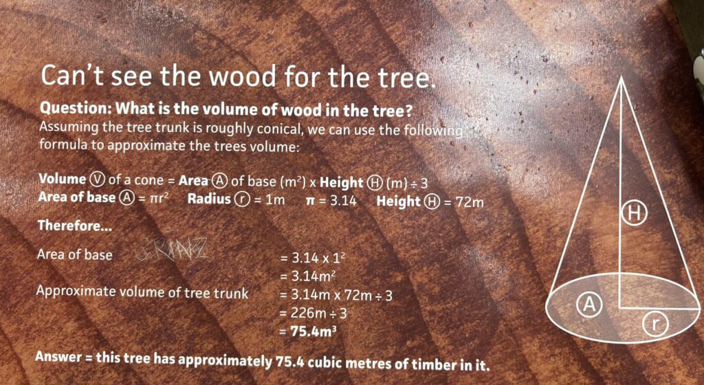 Pancarte éducative en anglais expliquant le volume d’un cylindre dans une forêt.