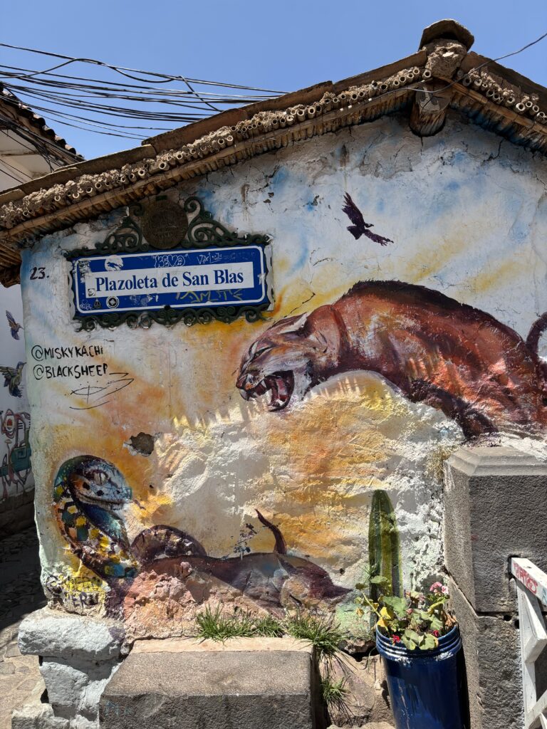 Ruelle pavée et escarpée du quartier San Blas à Cusco.