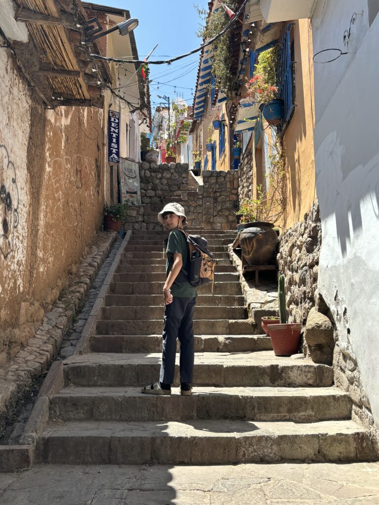 Ruelle pavée et escarpée du quartier San Blas à Cusco.