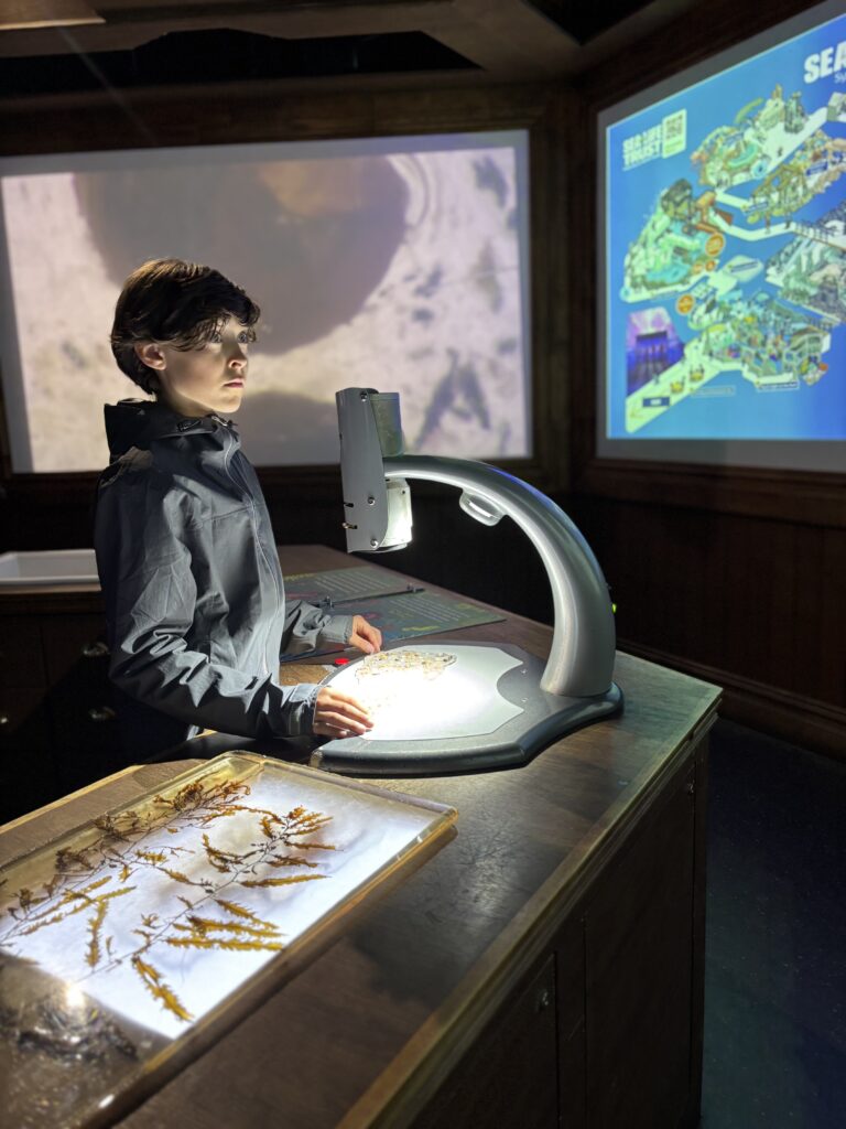Célian fait une expérience scientifique au musée maori en Nouvelle-Zélande.