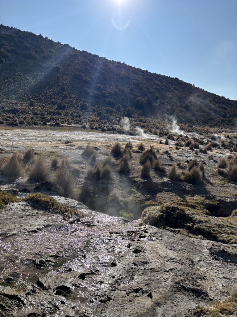 Geysers et fumerolles du parc national Sajama, entourés de collines dorées.