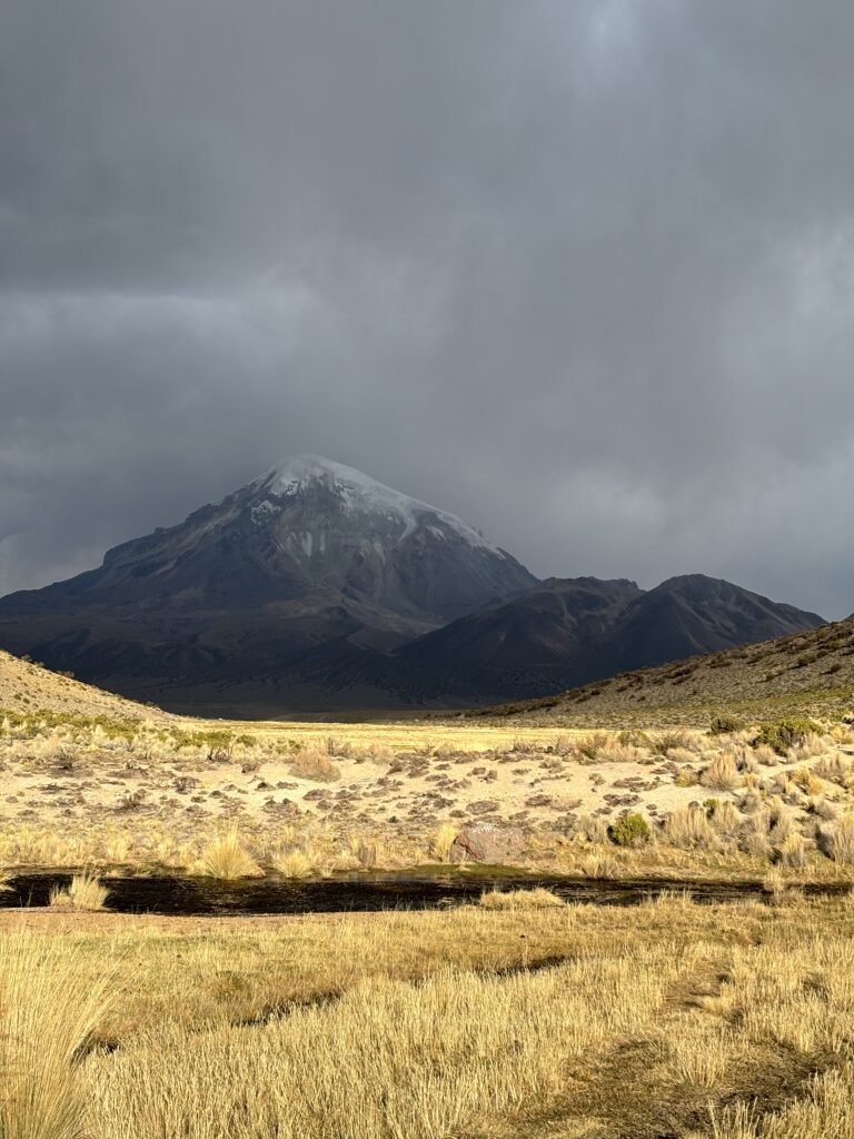 Volcan Sajama enneigé au coucher du soleil, contrastant avec les tons dorés de la steppe bolivienne.