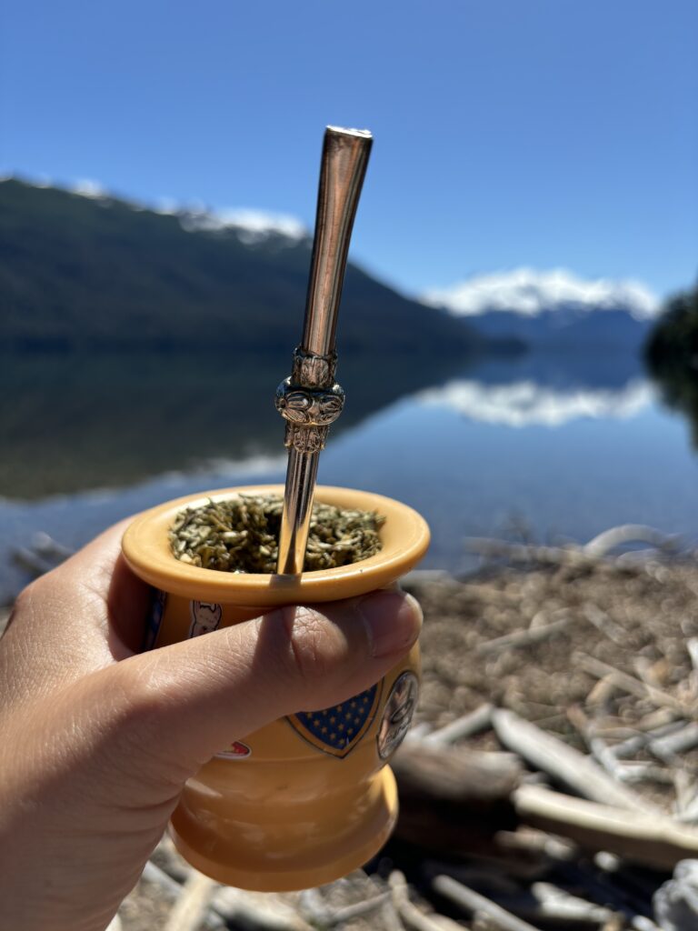 Main tenant une calebasse de maté avec sa bombilla argentée, face à un lac limpide entouré de montagnes enneigées en Patagonie, sous un grand ciel bleu.