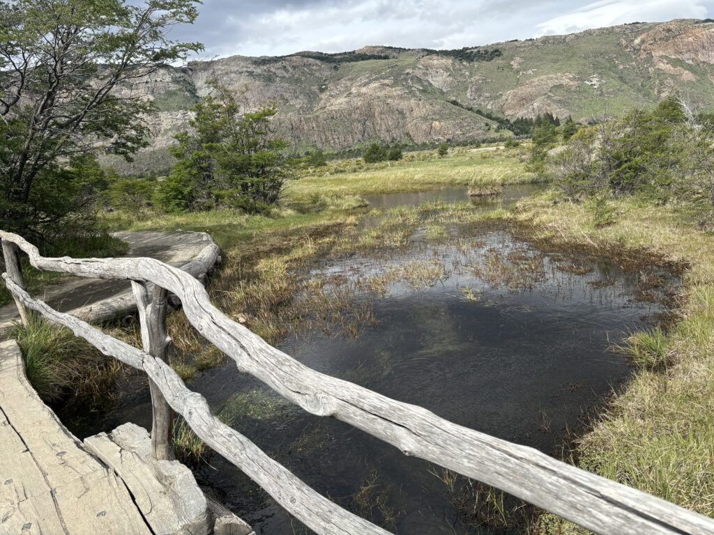 Reflets des montagnes dans un lac de la région d’El Chaltén.