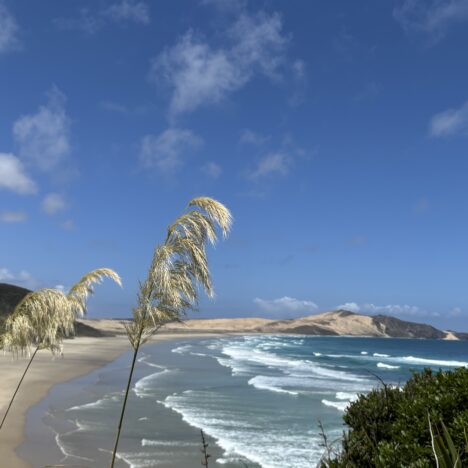 Horcón, le Chili hors des sentiers battus : notre dernière escale en Amérique du Sud